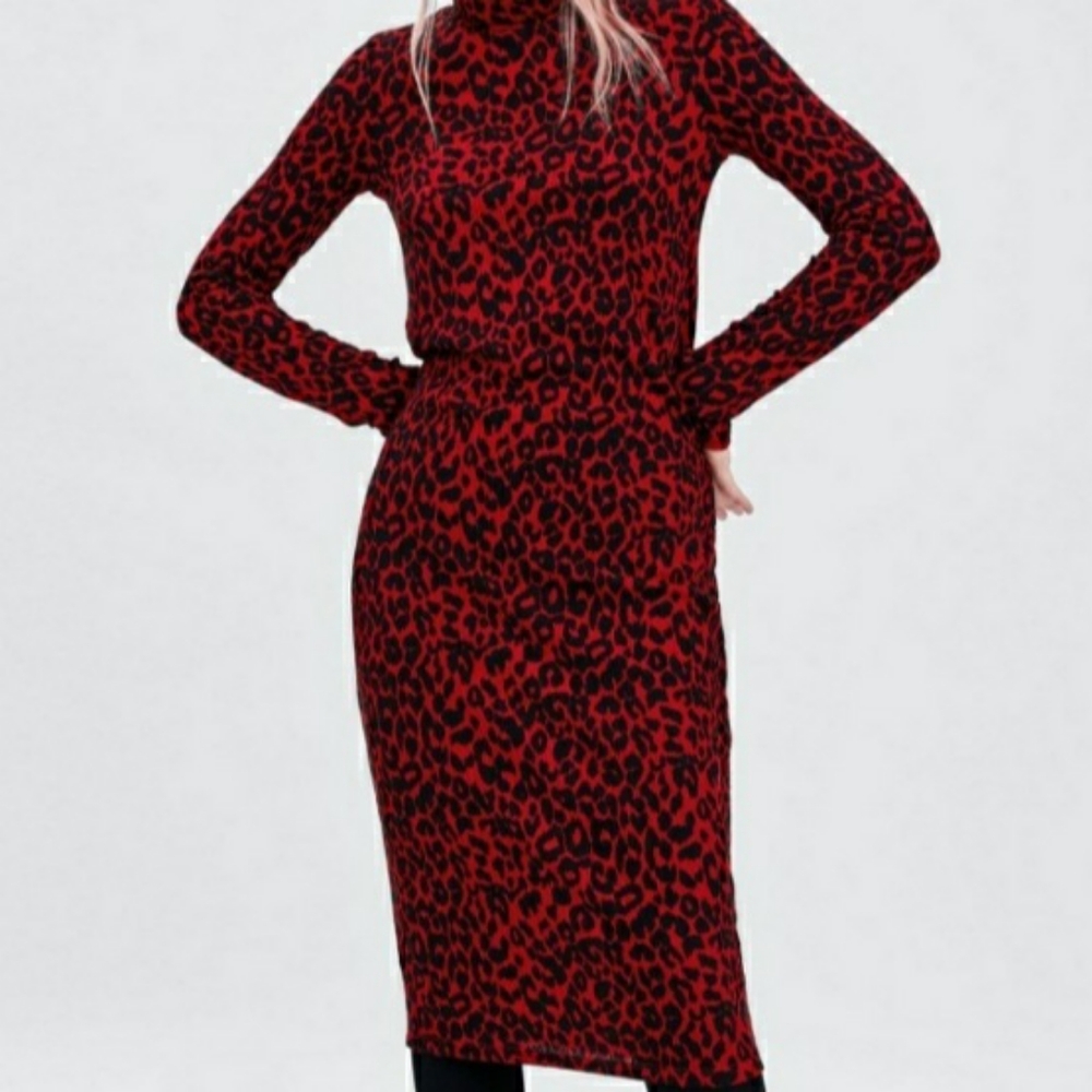 Zara Dress